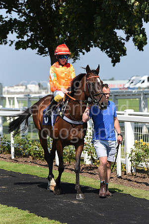 Pony_Racing_5th_Aug_2021-36