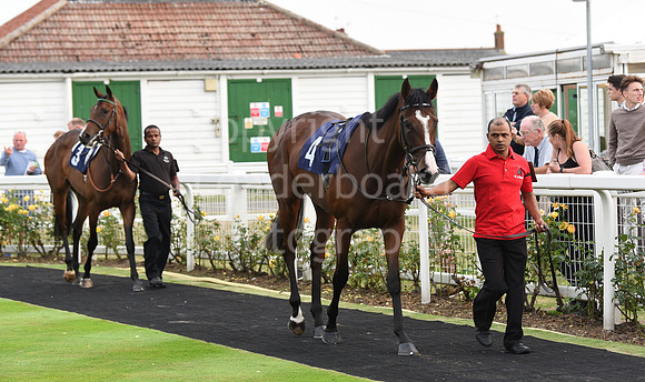 Yarm_Races_17July-58