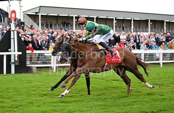 Gt_Yarm_July25_Racing_League_2024-271