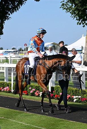 Gt_Yarm_July_30_2024-262