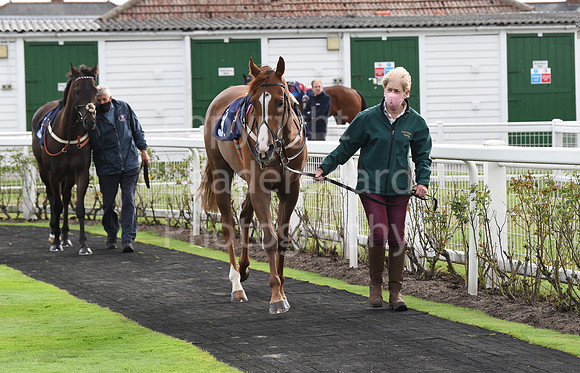 Gt_Yarmouth_Races_230Aug-51