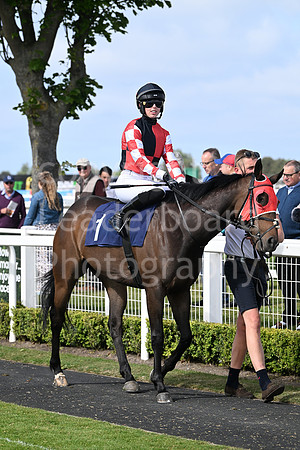 Gt_Yarm_May14_2025-201