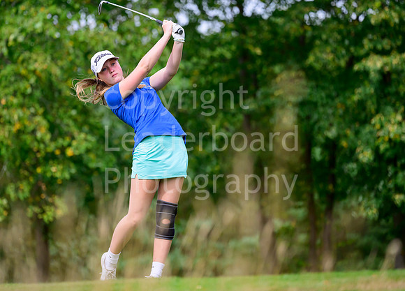Z91_1674