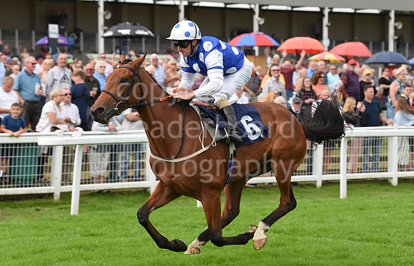 Gt_Yarm_Races_24_Aug_2021-58