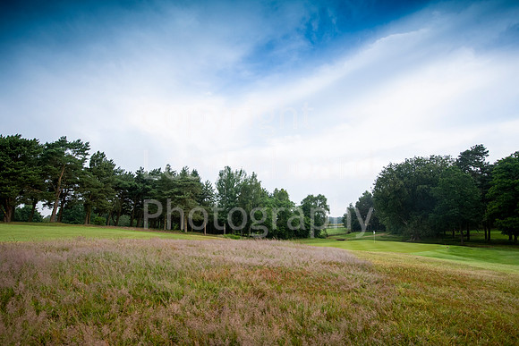 LBP_0222