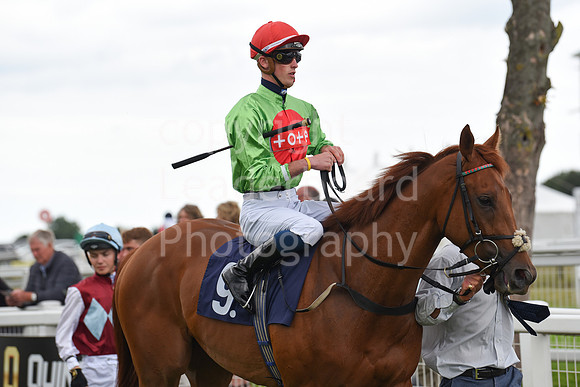 Gt_Yarm_06_July_2022-16
