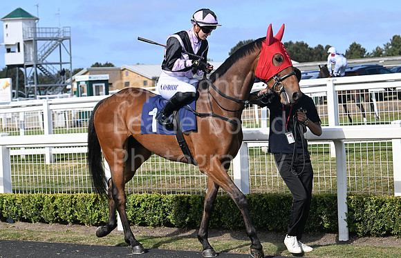 Gt_Yarm_May14_2025-241