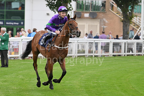 Gt_Yarm_19_Aug_Evening_Race-107