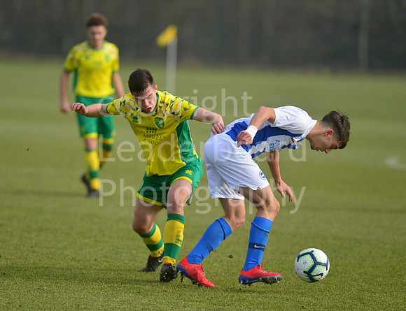 NB_084_NCFC_U18_Brighton
