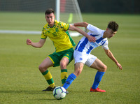 NB_010_NCFC_U18_Brighton