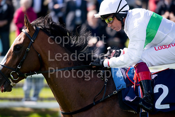 LB_Yarmouth_010518_0279