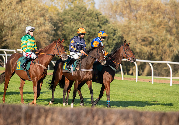 LB_Fakenham_31_18_0779