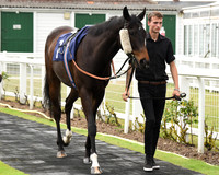Gt_Yarm_27th_July_2021-3