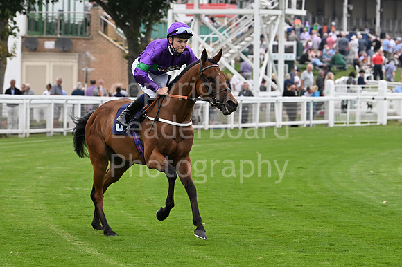 Gt_Yarm_19_Aug_Evening_Race-108