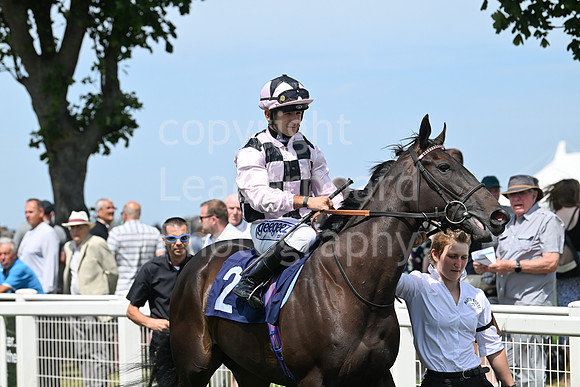 Gt_Yarm_Residents_Day_June_27-51