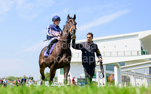 NZ9_2179