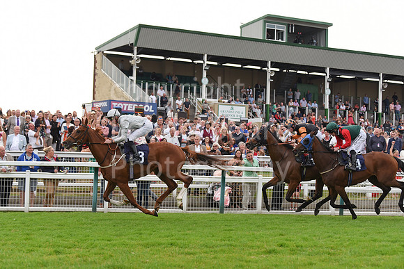 Yarm_Races_17July-53