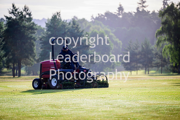 NZ9_8341