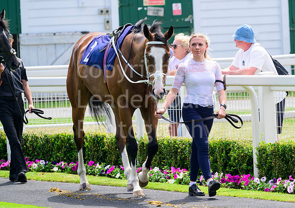 NZ9_2409