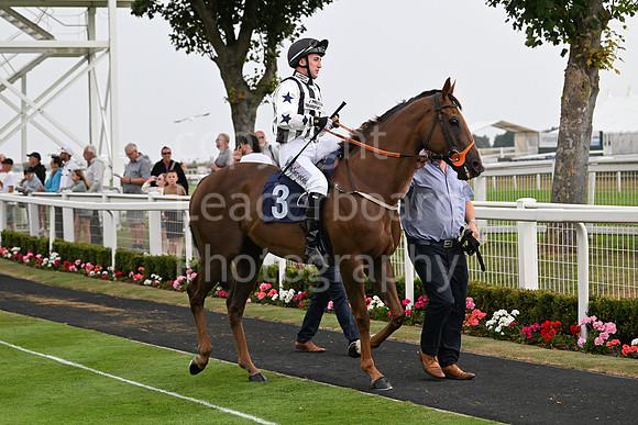 Gt_Yarm_19_Aug_Evening_Race-176