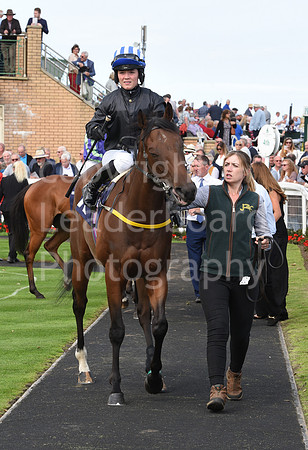 Gt_Yarm_14_Sept_2022-9
