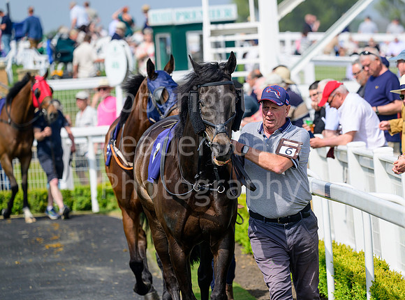 NZ9_5101