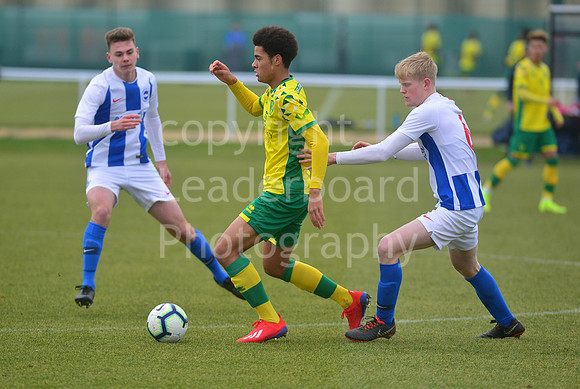 NB_077_NCFC_U18_Brighton