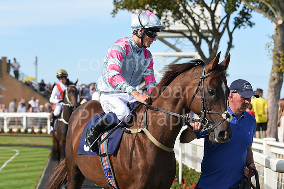 Gt_Yarm_Races_28_Aug_2022-144