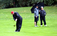 ENGLISH DISABLED OPEN 74