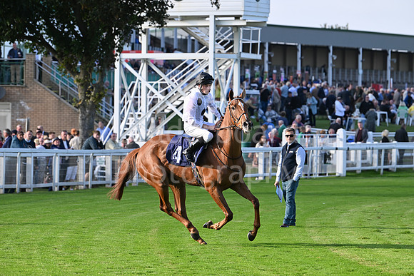 Gt_Yarm_Eastern_Fest_18_Sept_2024-229