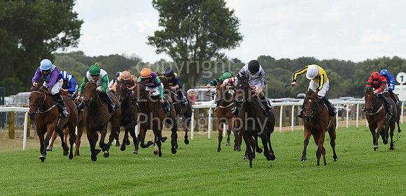 Gt_Yarm_3_Aug_2022-69