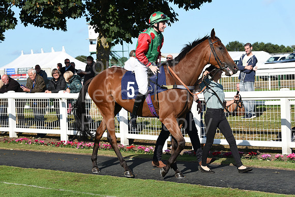 Gt_Yarm_Eastern_Fest_Day_2-165