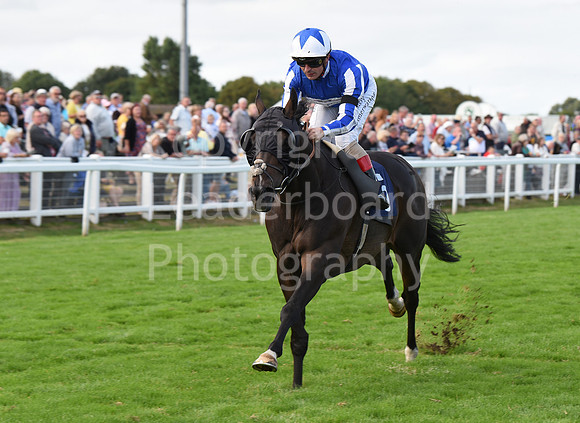 Gt_Yarm_14_Sept_2022-133