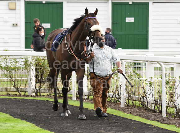 Gt_Yarmouth_Races_230Aug-113