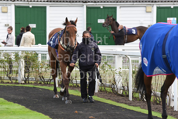 Gt_Yarmouth_Races_230Aug-137