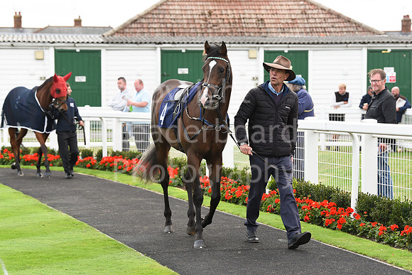 Gt_Yarm_25th_Sept_2022-1