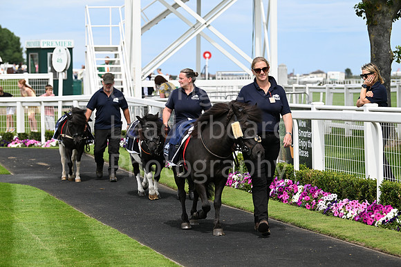 Gt_Yarm_3_Aug_2025_Shetland_Race-3