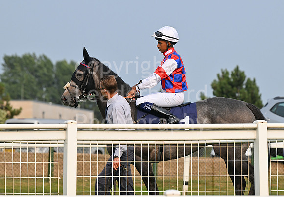 Gt_Yarm_19_Aug_Evening_Race-3