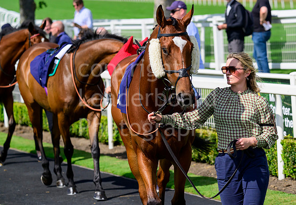 NZ9_4192