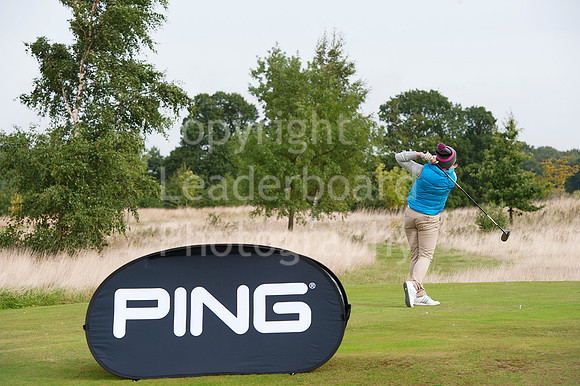 NB_PING_Grand_Final.