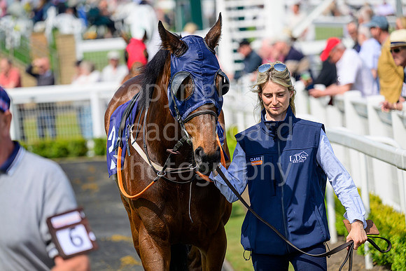 NZ9_5103