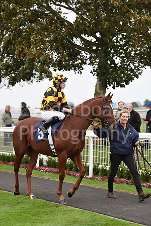 Gt_Yarm_Season_Finale_19Oct_2021-237