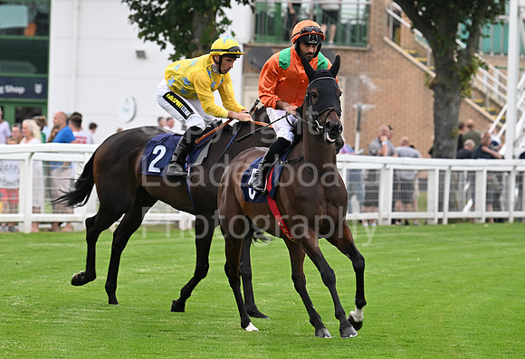 Gt_Yarm_19_Aug_Evening_Race-101