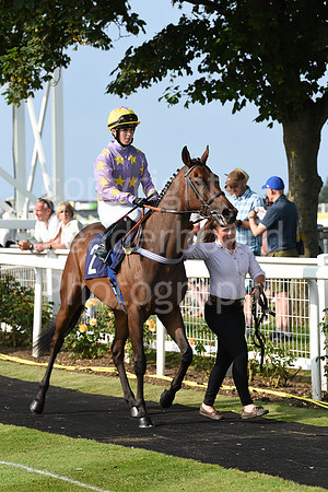 Gt_Yarm_Races_22_July2021-188