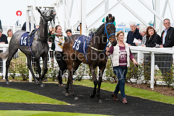 LBP_1589