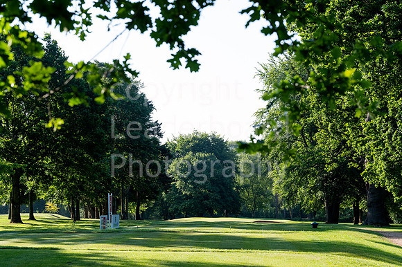 DSC_1001