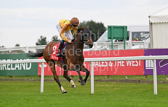 Gt_Yarm_July25_Racing_League_2024-38