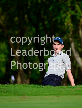 NZ9_0491