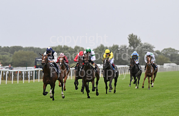 Gt_Yarm_Aug_8_2024-226