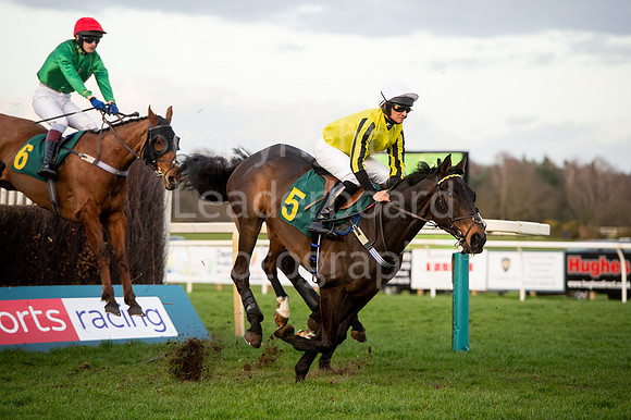NB_03_Silvergrove
